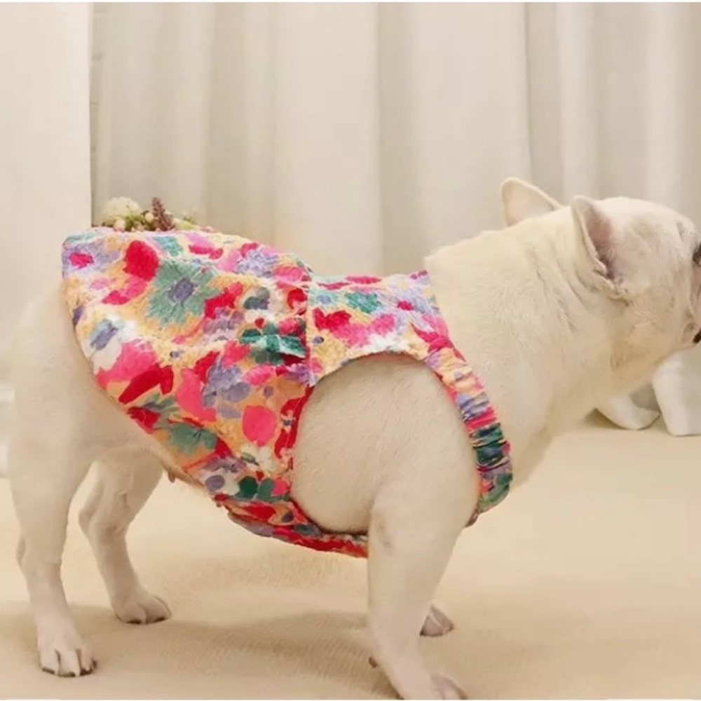 Cute dog dress